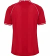Denmark 	Home Soccer Jersey 2026 World Cup