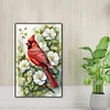 (40*60cm)Cardinal - Full Round Drill Diamond Painting