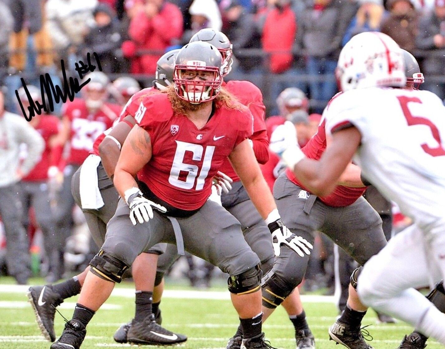 Cole Madison Washington State hand signed autographed 8x10 football Photo Poster painting c