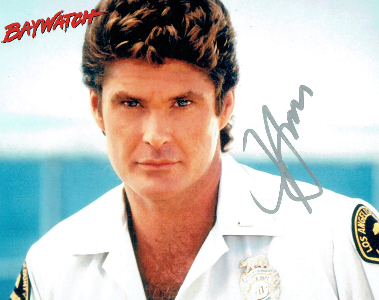 David HASSELHOFF SIGNED Autograph 10x8 Baywatch Photo Poster painting AFTAL COA The Hoff