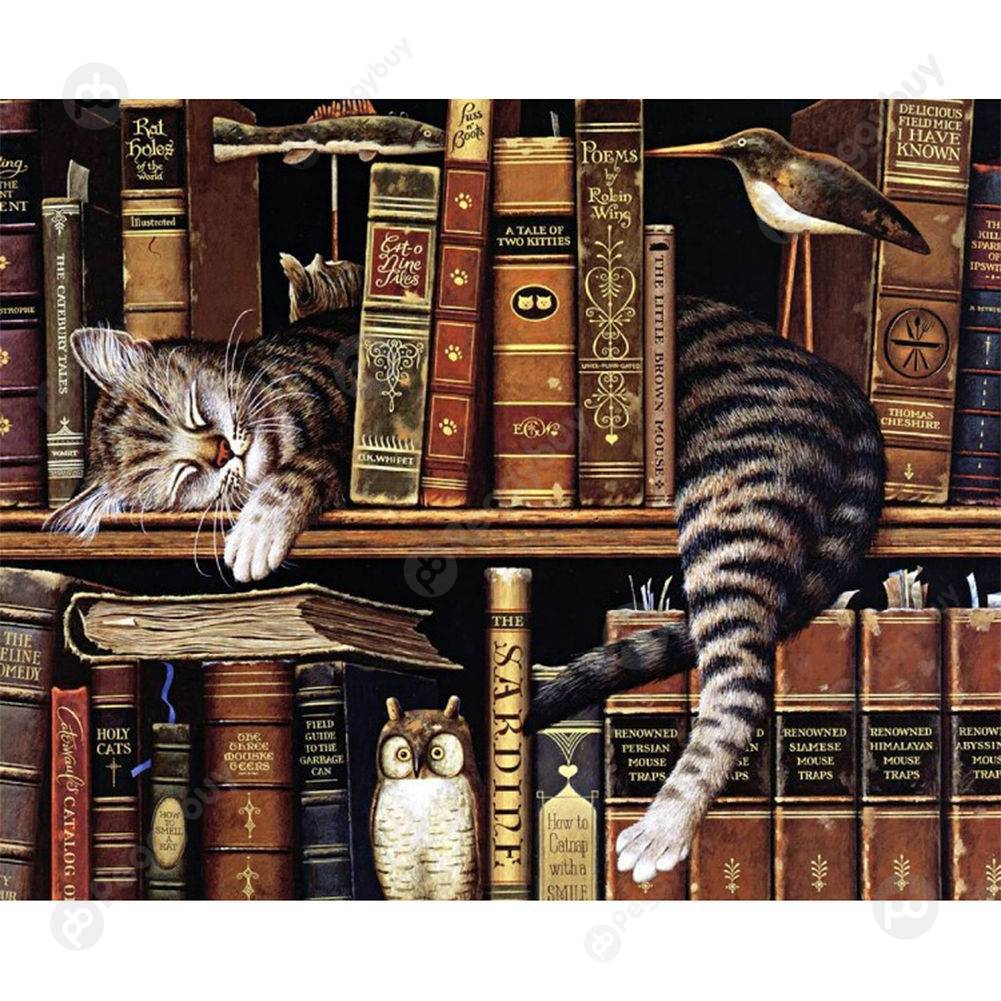 

40*50CM Paint By Numbers-Cat Books, 501 Original