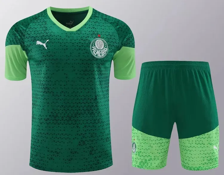 24-25 season Palmeiras adult training suit