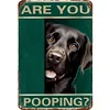 Funny"Are You Pooping Cat" - Vintage Metal Signs(12*16Inch) - Cat