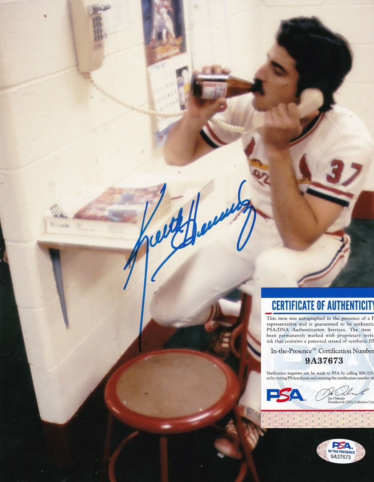 KEITH HERNANDEZ ST. LOUIS CARDINALS PSA AUTHENTICATED ACTION SIGNED 8x10