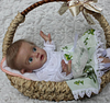 Babiesprincess Lifelike Reborn Baby Doll, Babiesprincess