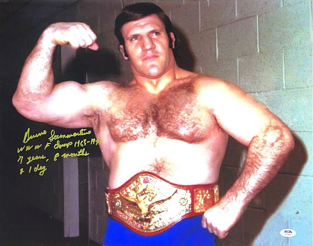 WWE BRUNO SAMMARTINO HAND SIGNED AUTOGRAPHED 16X20 Photo Poster painting WITH PSA DNA COA 3 RARE