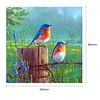 Oiseaux Debout - Complète Rond Peinture au Diamant  30x30cm