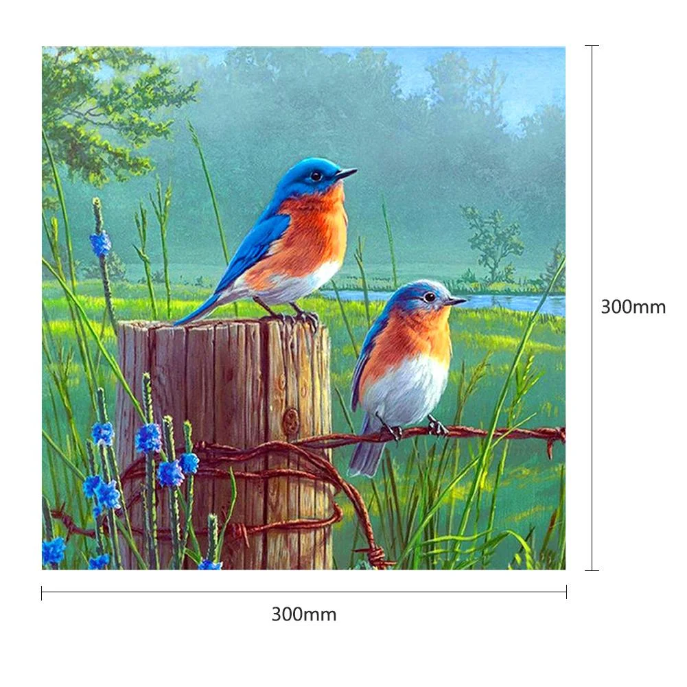 Standing Birds - Full Round Diamond Painting Kits 30x30cm