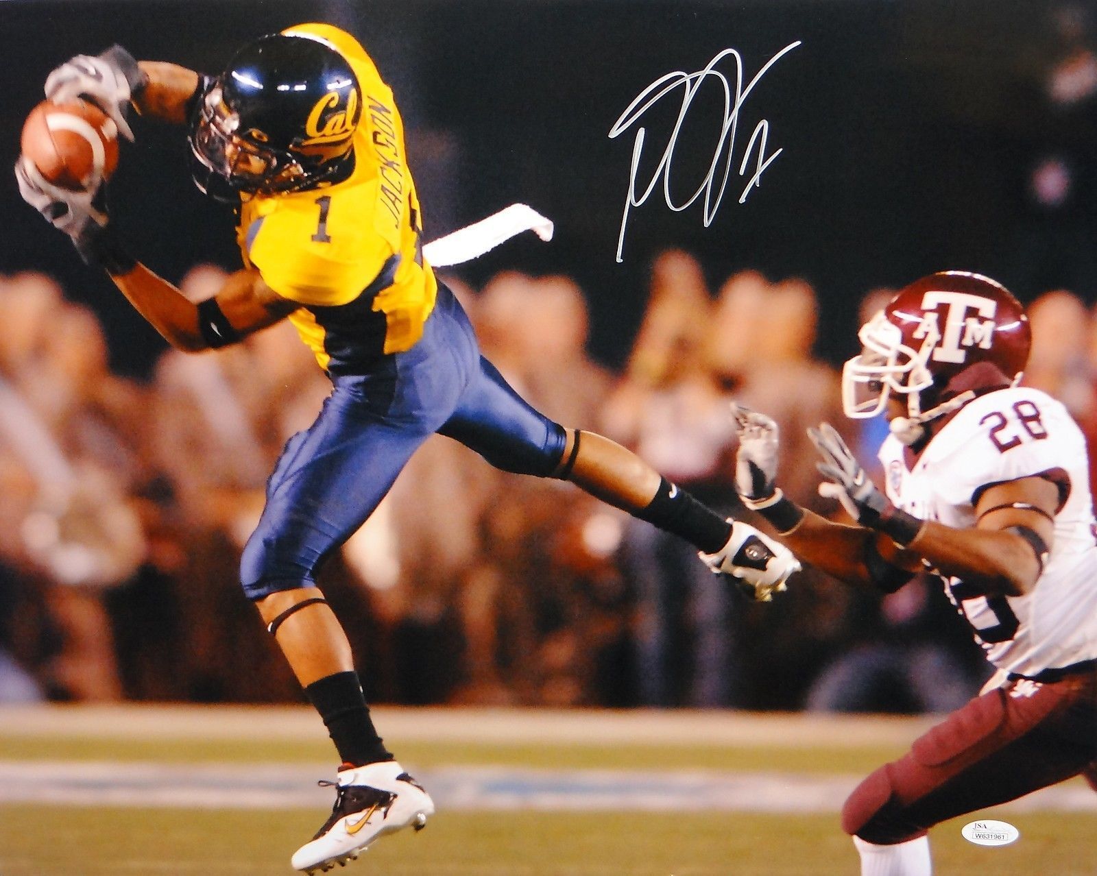 DeSean Jackson Autographed 16x20 Catch Against Texas A&M Photo Poster painting- JSA W Auth