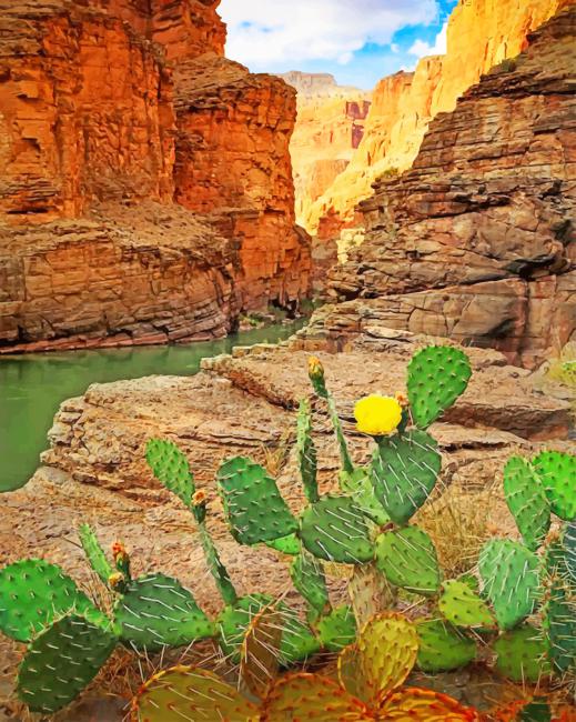 

Grand Canyon National Park Cactus – Paint By Numbers - 40*50CM, 501 Original