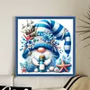 Gnome-Partial 11CT Stamped Cross Stitch Bead Embroidery 36*36cm tapestrymarket