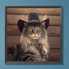 Désert cool cowboy chat à poil long-plein rond diamant peinture-30 * 30cm