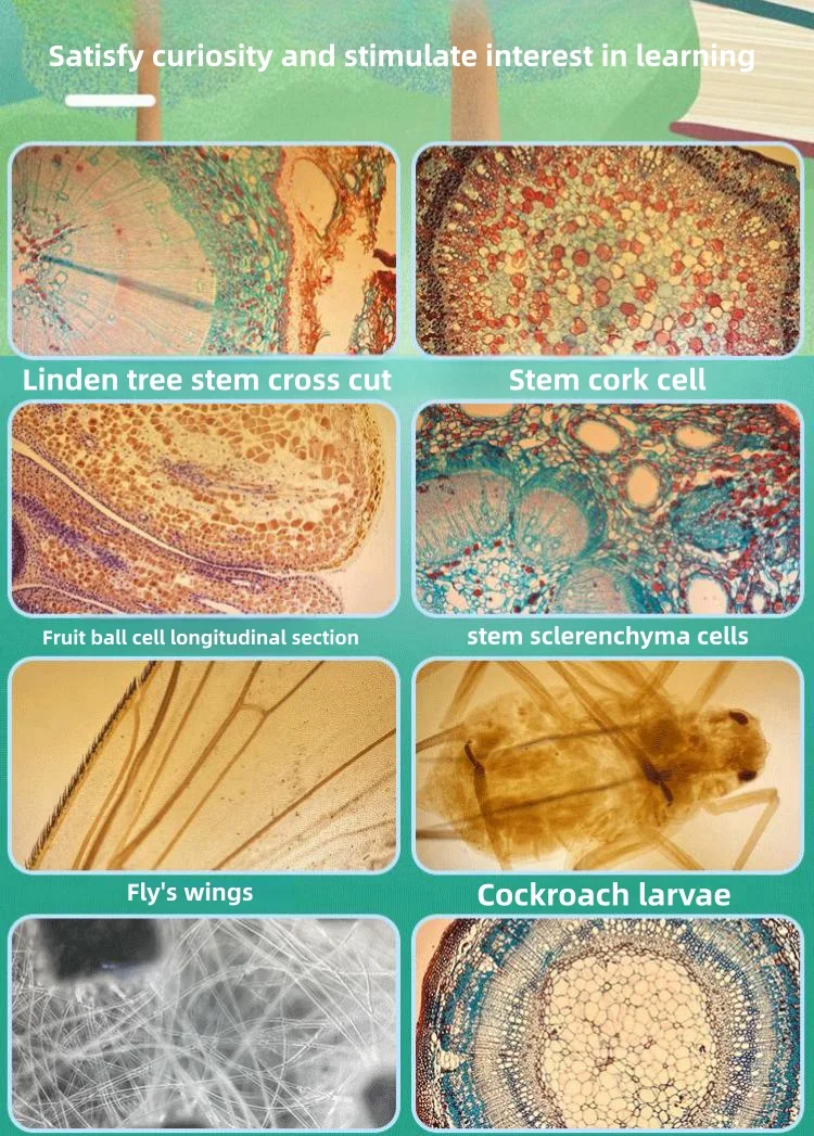 Suitable for iPhone12/13/14 mobile phone microscope lens 400X high-definition small mini micro microscope