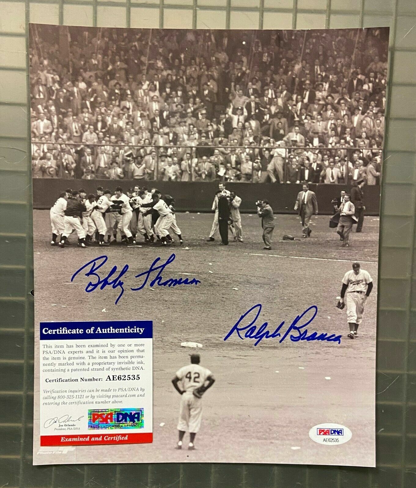 Bobby Thomson & Ralph Branca signed 1951 World Series 8x10 Photo Poster painting PSA