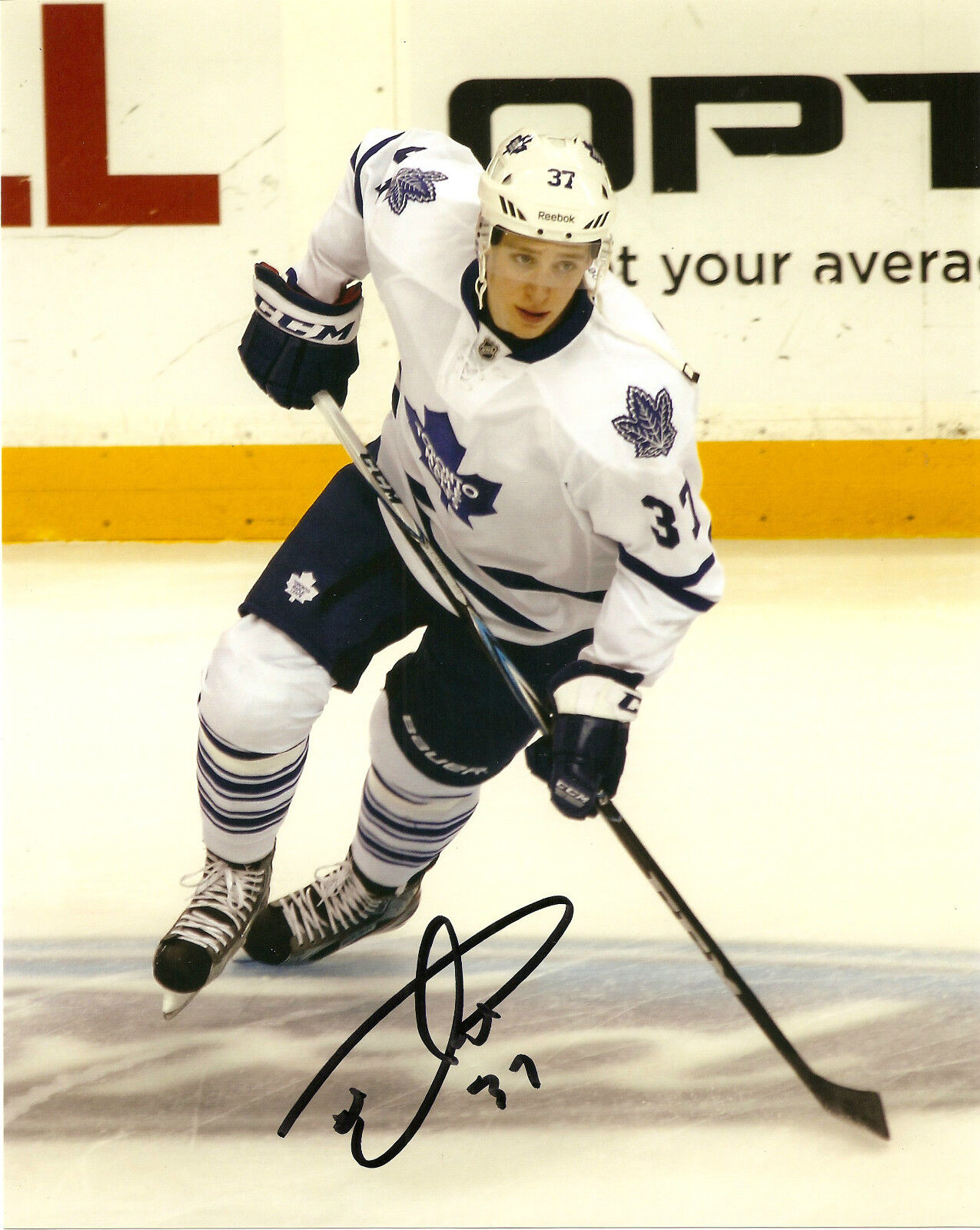 Toronto Maple Leafs Carter Ashton Signed Autographed 8x10 Photo Poster painting COA