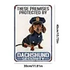 These Premises Protected By Dachshund Security - Metal Tin Signs(8*12Inch/12*16Inch)