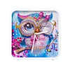 Big-Eyed Owl Special Shape 5D Diamond Painting Clock Art Craft With Frame Kit