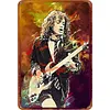 Angus Young - Panneaux en &eacute;tain m&eacute;tallique(20*30cm/30*40cm) - Musique