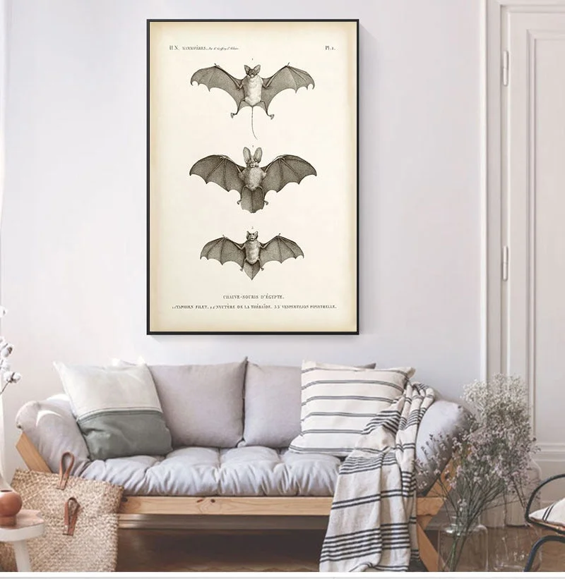 Vintage Bat Print Halloween Wall Art Canvas Painting Antique Bat Animal Poster Wall Picture for Living Room Home Decoration