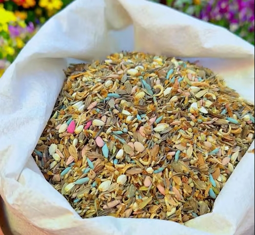 🔥Last day clearance💝Premium Cold-Hardy Mixed Perennial Flower Seeds - Selected 40+ Fall Planting Mix