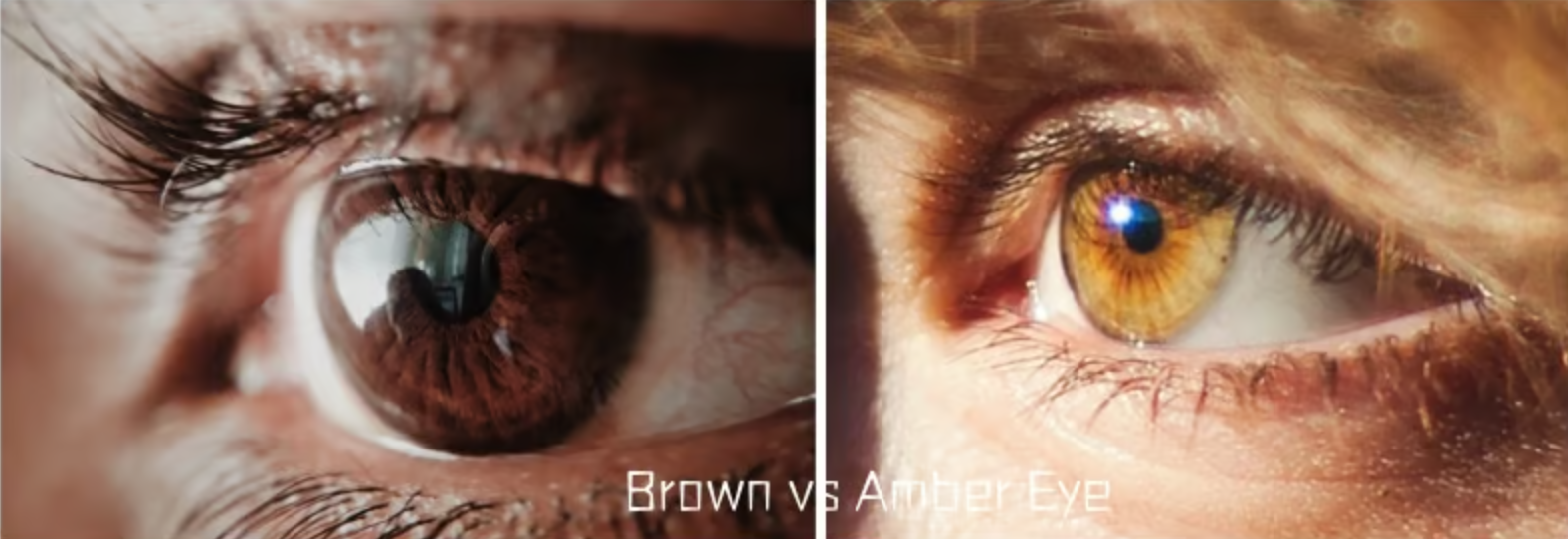 Amber Eye vs. Brown Eye