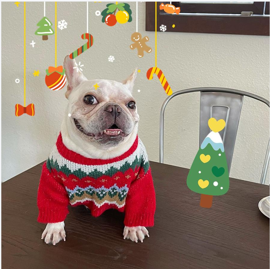 Christmas Sweater for Dog & Cat