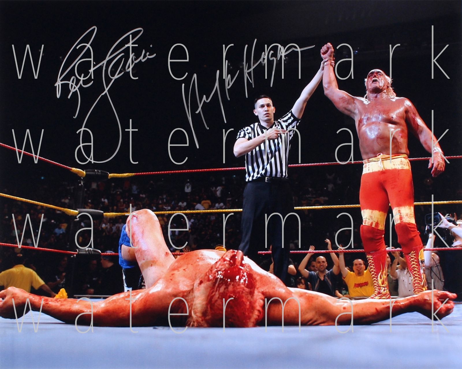 Hulk Hogan & Ric Flair signed 8x10 inch Photo Poster painting picture poster autograph RP