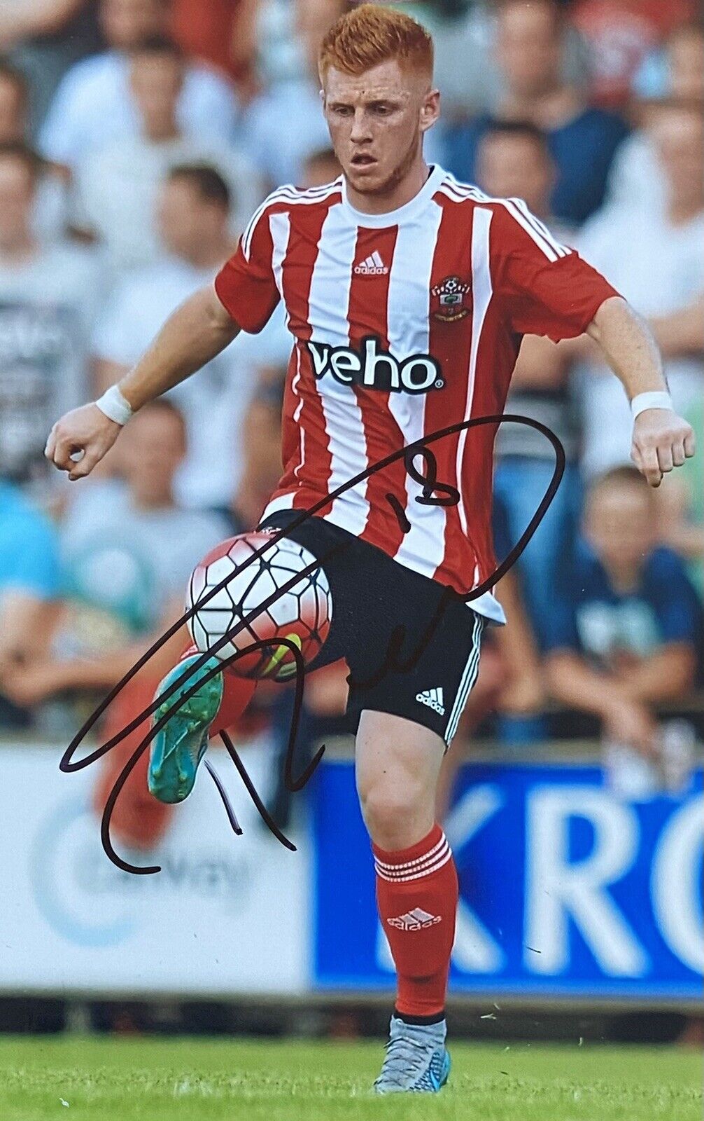 Harrison Reed Genuine Hand Signed Southampton 6X4 Photo Poster painting