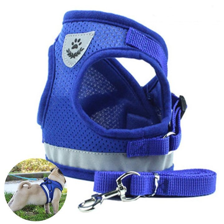 Dog Harness And Leash Set For Dogs, Soft Mesh Padded Harness