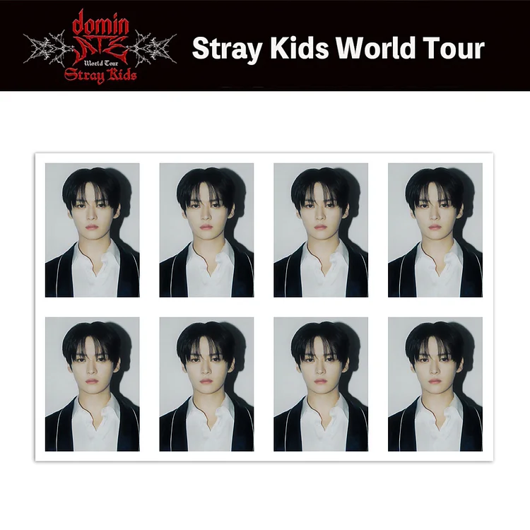 2025 Stray Kids DominATE World Tour Member ID Photo Set