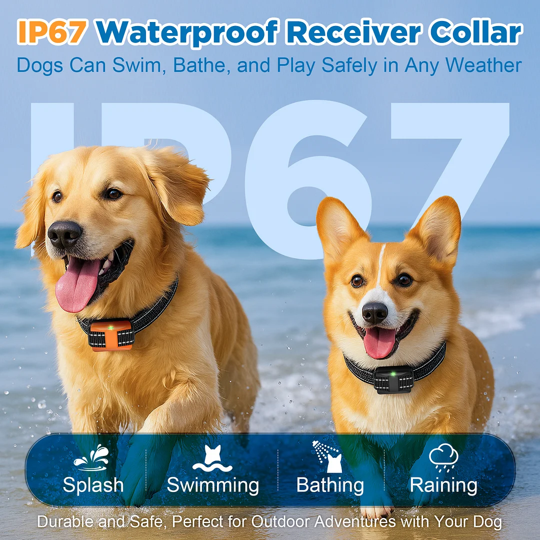 Dog Training Collar for 2 Dogs with Remote, 1640FT Range IP67-Rated, Beep Vibration Safe Shock Modes, Safety Lock, Adjustable Reflective Nylon Collars, Rechargeable