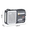 DE808 Multi-functional Portable Radio with Bluetooth, SIM Card, USB Flash Drive, Lighting, and Charging Capabilities