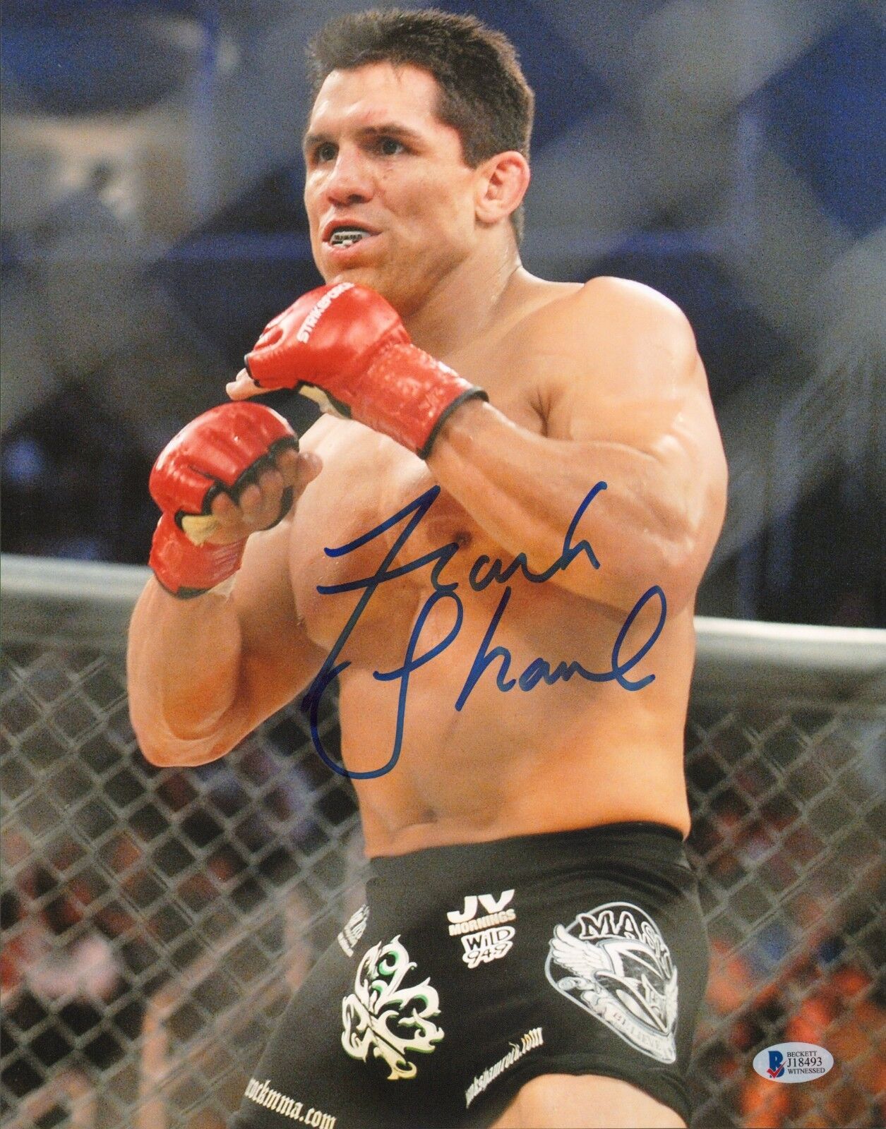 Frank Shamrock Signed 11x14 Photo Poster painting BAS Beckett COA UFC StrikeForce Picture Auto'd