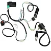 LAXEEM Wire Harness Wiring Loom CDI Ignition Coil Spark Plug Rebuild Kit for 50cc 70cc 90cc 110cc 125cc Stator CDI Coil ATV Quad Bike Buggy Go Kart