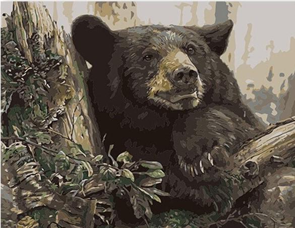 

Black Bear in Forest – Paint By Numbers - 40*50CM, 501 Original