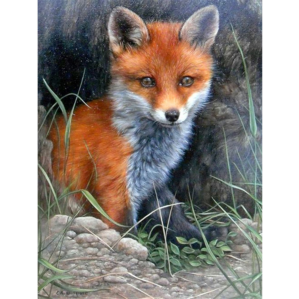 

Fox - 11CT Counted Cross Stitch - 36*48CM, 501 Original