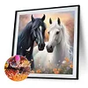 Cheval-Rond Drill Peinture Diamant-40*40Cm