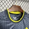 24/25 Everton Gray Soccer Jersey Away