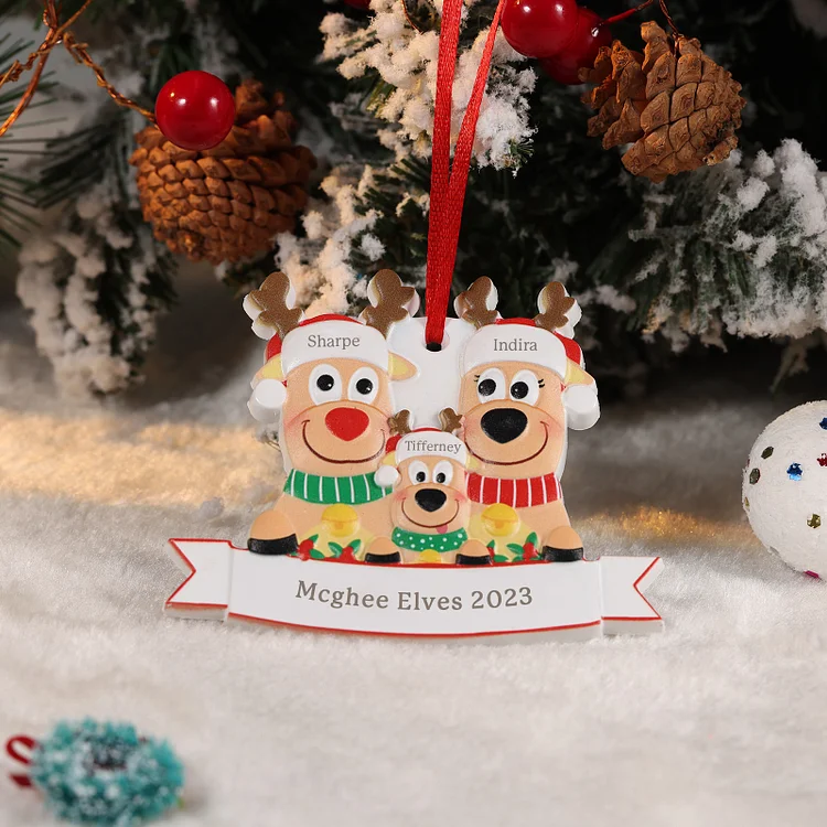 Personalized 3 Names & Text Reindeer Christmas Ornament Resin Christmas Tree Pendant for Family 