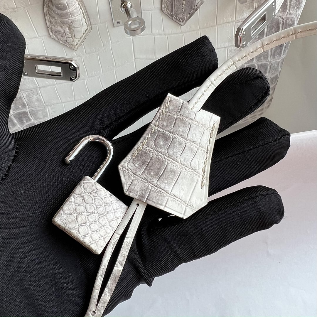 Birkin 25cm Matte Niloticus Crocodile  01 Himalaya PHW