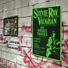 Stevie Ray - Metal Tin Signs(8*12Inch/12*16Inch)