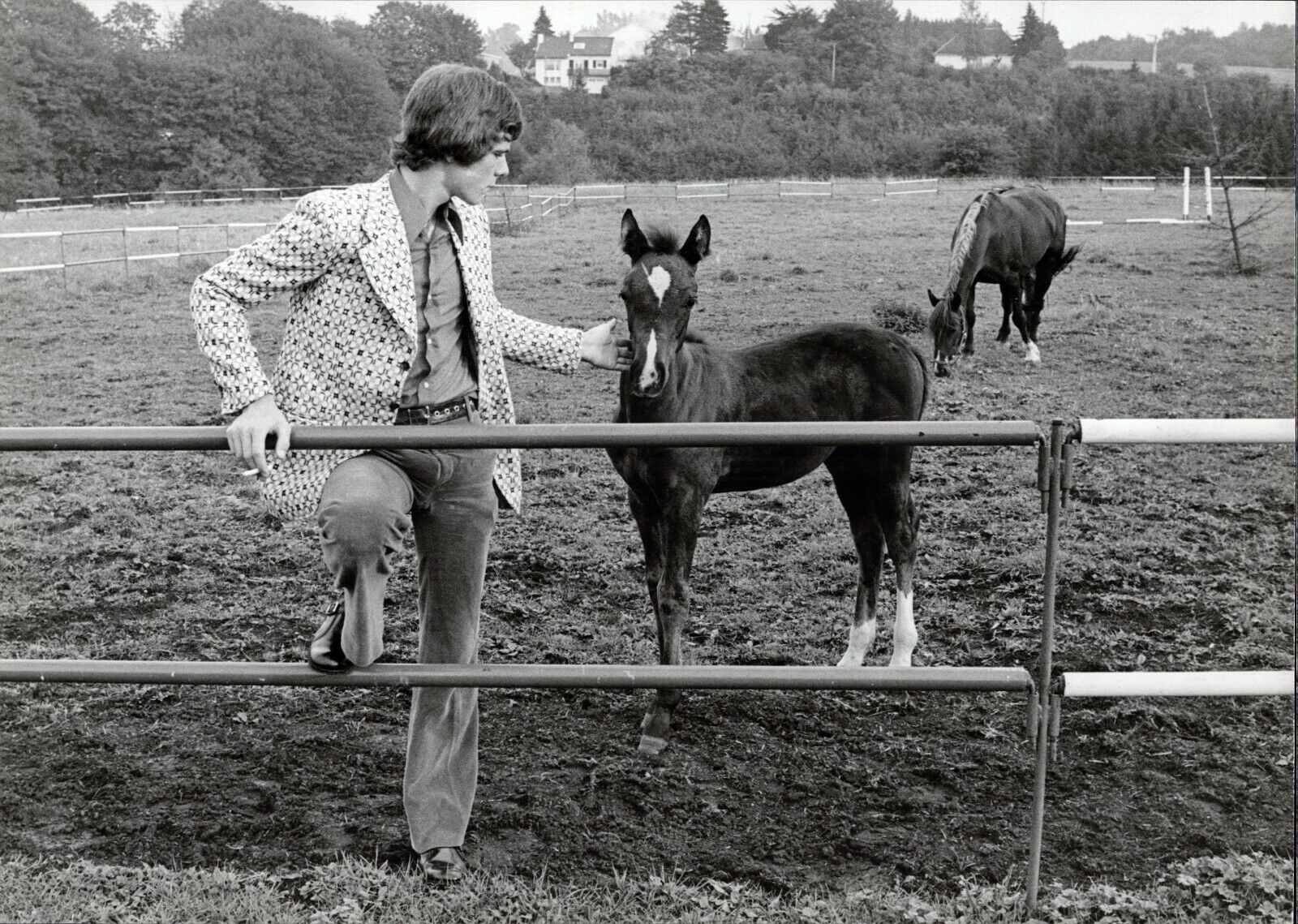 Heintje With Foal - Vintage Press Photo Poster painting Norbert Unfried (U-6636