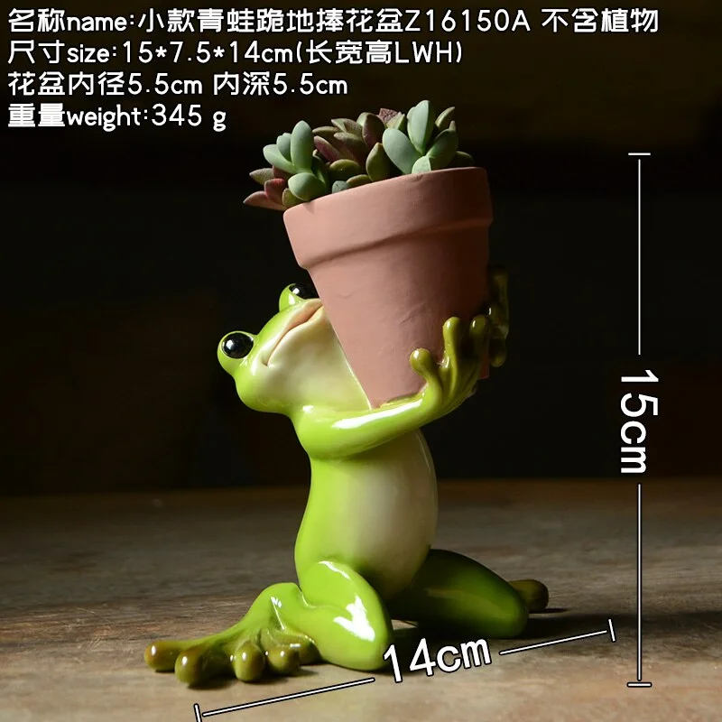 Creative Clay Pots with Frog Ornament Succulent Pot Plant Pot Cactus Planter Pots Nursery Pot Garden Pot Home Decoration
