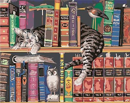 

Cats on bookshelves – Paint By Numbers - 40*50CM, 501 Original