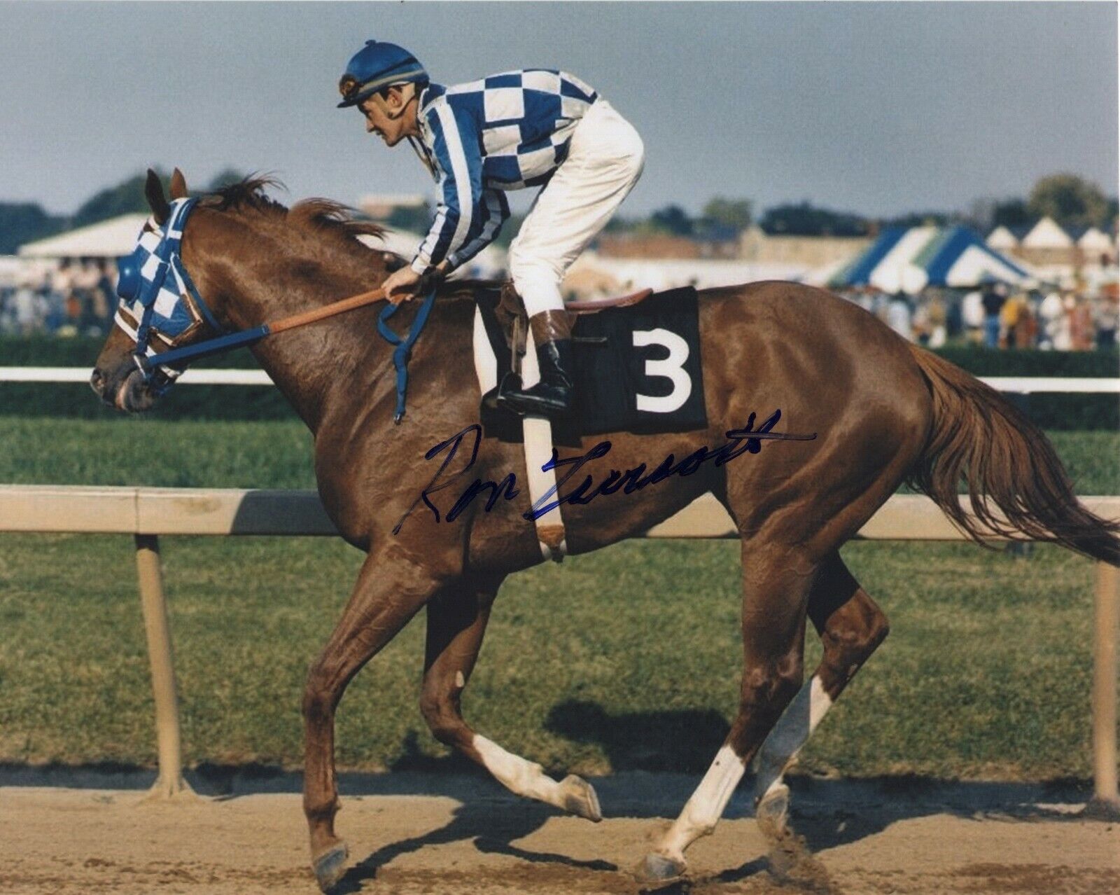 RON TURCOTTE SIGNED AUTOGRAPH TRIPLE CROWN SECRETARIAT 8X10 Photo Poster painting #5