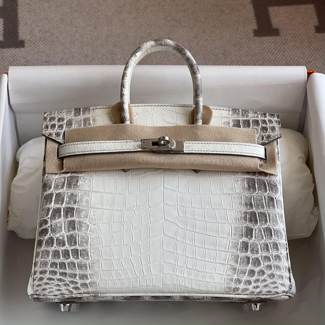 Birkin 25cm Matte Niloticus Crocodile  01 Himalaya PHW