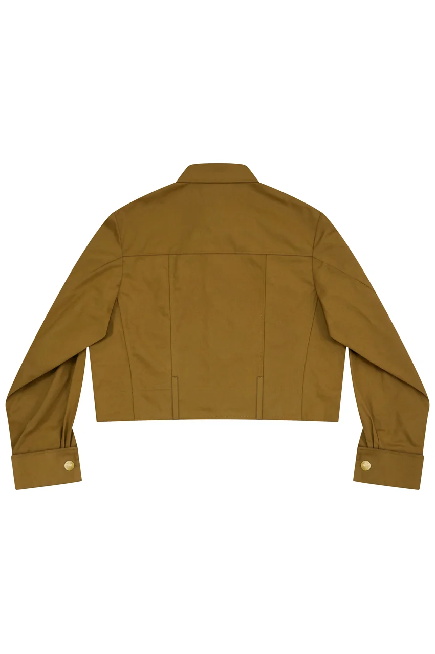   German Political Party Senior Officials Brown Service Shirt I German-Uniform