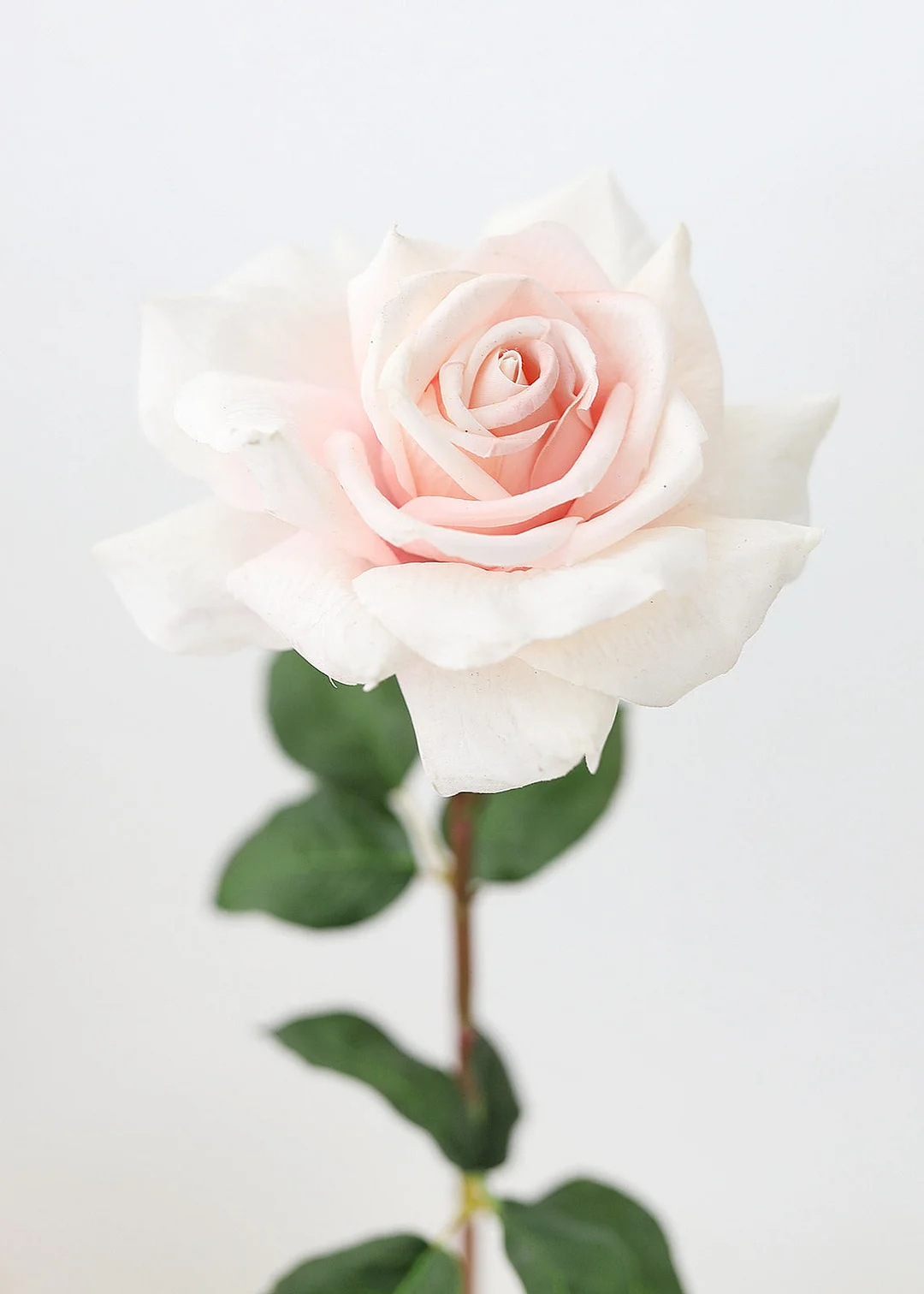 Real Touch Dutchess Rose in Pale Pink - 20"