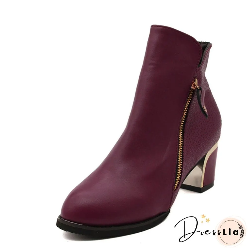 Autumn Winter Women  Martin Boots Female High Heel Thick with Side Zipper Large Size Ladies Boots