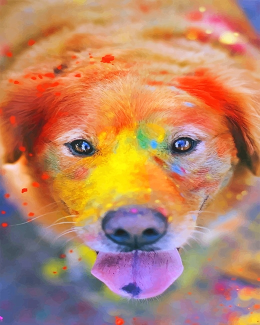 

Cute Colorful Dog – Paint By Numbers - 40*50CM, 501 Original